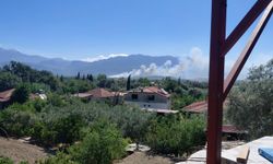 Seydişehir'de tarım arazisinde çıkan yangın, Kaş'ta ormana sıçradı