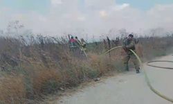 Silivri'de tarlada yangın - 1