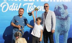 Sivas'ta Kangal köpekleri podyuma çıktı