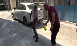 Sokakta pire istilasına neden olan hayvanlar, tutuldukları apartmandan kurtarılıp bakıma alındı