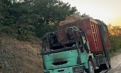 Talaş yüklü TIR alev alev yandı