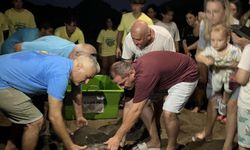 Tedavi edilen yaralı deniz kaplumbağası Kaan-19, 1 yıl sonra doğal yaşam ortamına bırakıldı