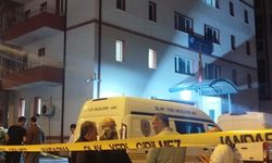 Trabzon'da İlçe Emniyet Müdürlüğü bahçesine hava aracı düştü; 4 araç hasar gördü