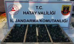 Traktörün römorkunda 2 bin 114 saka ele geçirildi; sürücüye 19,8 milyon TL ceza kesildi