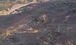 Tunceli'de ot yangınında alevler ormana sıçramadan kontrol altına alındı (2)