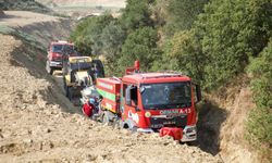 Turgutlu'da orman yangını 2 saatte kontrol altına alındı