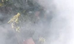 Uludağ'da orman yangını (2)