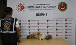Yılın ilk 7 ayında 71 milyar lira değerinde ticari eşya ve uyuşturucu ele geçirildi