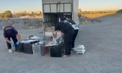 Zeytinburnu'nda uyuşturucu operasyonu; 83 kilogram skunk ele geçirildi