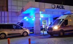 16 yaşındaki çocuk, annesini tabancayla öldürdü