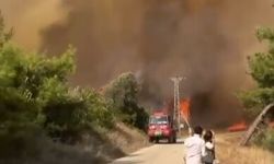 Adana'da 2 farklı bölgede orman yangını (2)