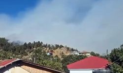 Adana'da 2 farklı bölgede orman yangını (3)