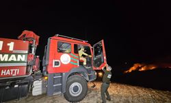 Adana'da çöplük alanda yangın