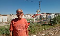 Adana'da hortumda zarar gören çiftliklerdeki 20 bin civciv öldü