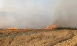 Adıyaman'da anız yangını söndürüldü