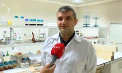 Ahşabı 10 kat dayanıklı hale getirerek ağaç kesimini azaltıp, yağmur ormanlarını koruyacaklar