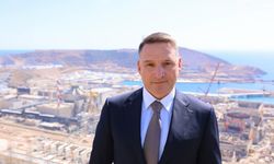 Akkuyu NGS sahasında 'İşletme öncesi planlı eş değerlendirme çalışması' başladı