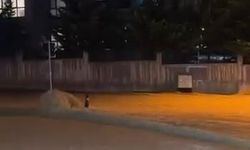 Ankara'da şimşekler gökyüzünü aydınlattı