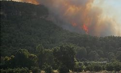 Antalya Aksu'da orman yangını / Ek fotoğraflar