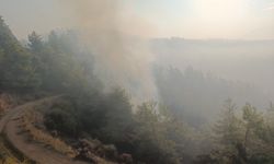Antalya Kumluca'daki orman yangınının enerjisi düşürüldü