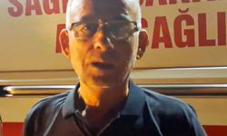 Antalya Serik'te orman yangını: Evler ve seralar yandı (2)