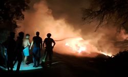 Antalya Serik'te orman yangını: Evler ve seralar yandı