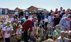 Arnavutköy'de dalından sebze ve meyve toplama deneyimi başladı