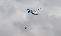 Arnavutköy'de ormanda yangın -1