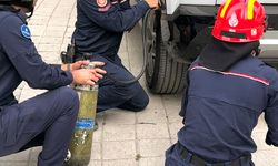 Avcılar'da cipte sıkışan kediyi itfaiye kurtardı