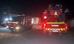 Avcılar'da park halindeki TIR alev alev yandı