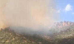 Balıkesir'de orman yangını