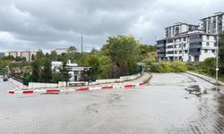 Bartın'da kuvvetli rüzgar; ağaçlar devrildi