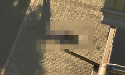 Bedriye'nin eşi suçlamaları reddetti; tanıklar 'Onu aşağı attım' dediğini öne sürdü