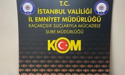 Beykoz'da tarihi eser operasyonu: 402 adet sikke ve obje ele geçirildi