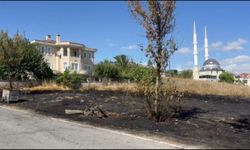 Beylikdüzü'nde otluk alanda çıkan yangın minibüse sıçradı