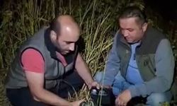 Bıldırcın avlamak için tüpün içine ses düzeneği yerleştirmişler