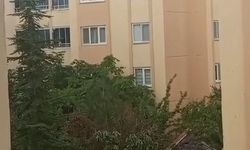 Bingöl'de kuvvetli rüzgar çatıları uçurdu