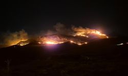 Bodrum'da maki ve ot yangını (2)