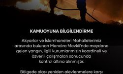Bodrum'da maki ve ot yangını (3)