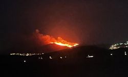 Bodrum'da maki ve ot yangını