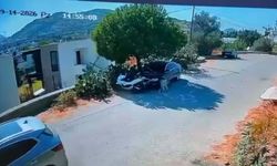 Bodrum'da otomobil, iki köpeğin üzerinden geçti; o anlar kamerada