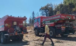 Burdur'da orman yangını (2)