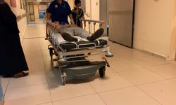 Bursa'da hafif ticari araç refüjdeki ağaca çarptı: 2 yaralı