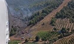 Bursa'da orman yangını (2)