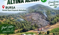 Bursa'da orman yangını (3)