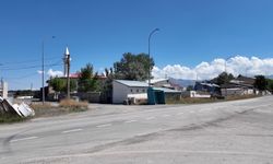 Camide kediye tekme atan kişi gözaltına alındı