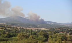 Çanakkale'deki orman yangınında 8 hektar alan zarar gördü