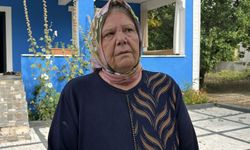 Çatı temizliği sırasında aynı aileden 4 kişiye arılar saldırdı