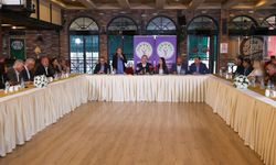 DEM Parti'li Bakırhan: Demokratik toplum süreci, 86 milyon için çok önemli bir kazanım sağlayacak