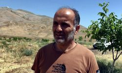 Dev çekirgeler tedirgin etti, uzmanı 'zarar vermeyin' dedi